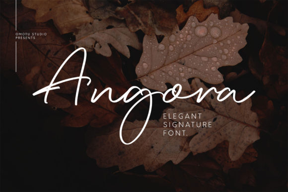Angora Font for Web Design