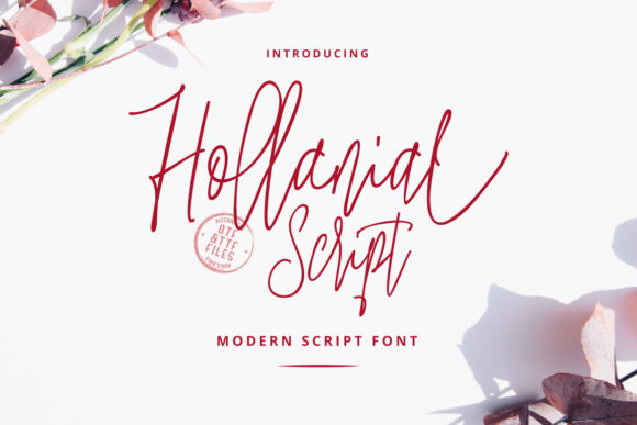 Hollanial: A Stylish Script Font
