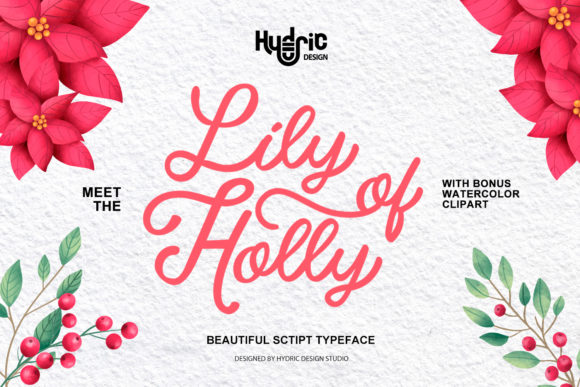 Lily of Holy Font Review