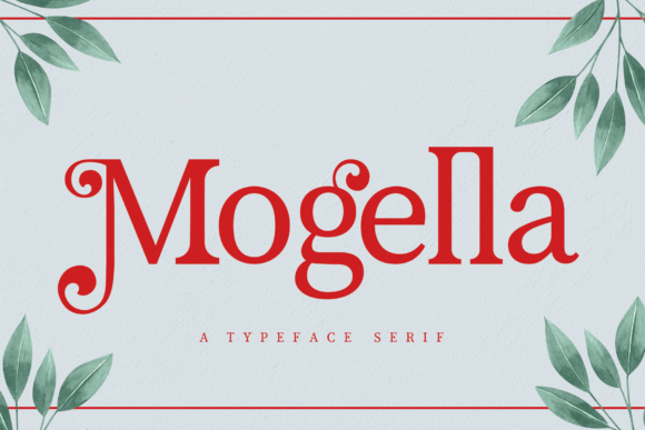 Mogella Font Review