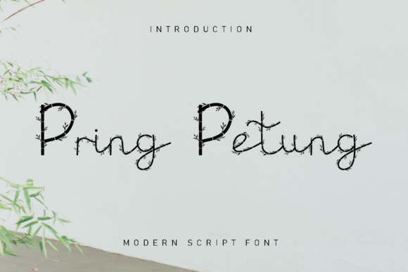 Pring Petung: A Stylish Font for Business