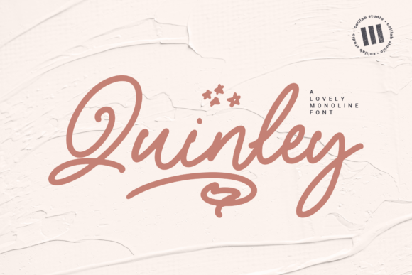 Quinley Font: Elegant Handwritten Style